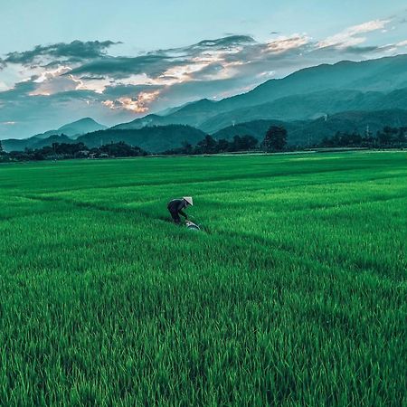 Hoi An Paddy House Homestay Buitenkant foto