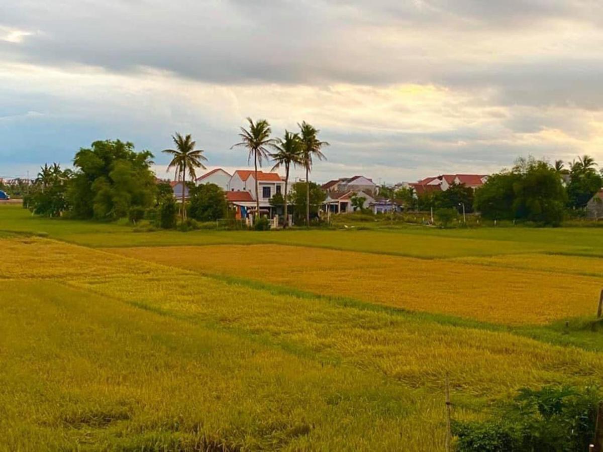 Hoi An Paddy House Homestay Buitenkant foto
