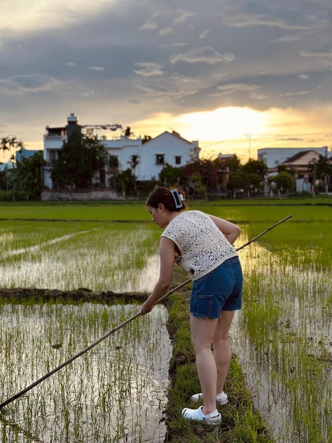 Hoi An Paddy House Homestay Buitenkant foto